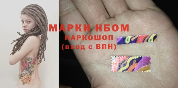 ГАЛЛЮЦИНОГЕННЫЕ ГРИБЫ Аркадак