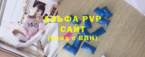 ГАЛЛЮЦИНОГЕННЫЕ ГРИБЫ Аркадак