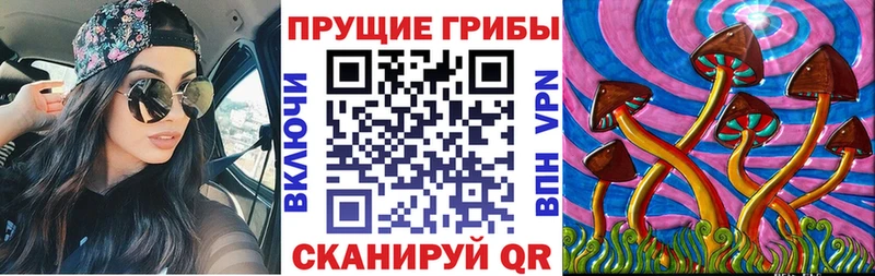 Галлюциногенные грибы ЛСД  хочу   маркетплейс наркотические препараты  Волхов 